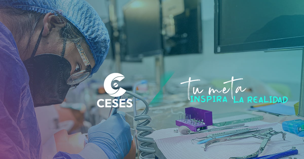 Universidad Ceses_Head Banner_pag